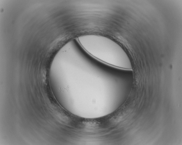 X0000089340693200706150821