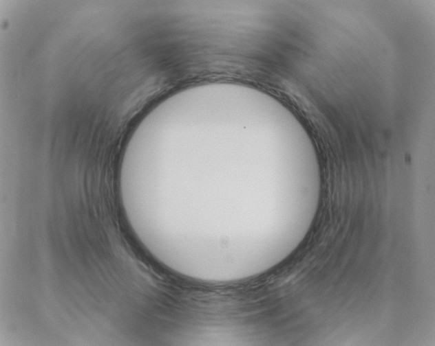 X0000089340696200706150821