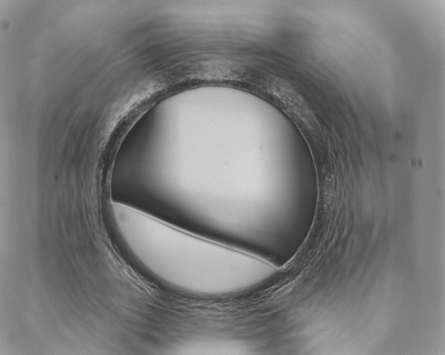 X0000089340727200706150820