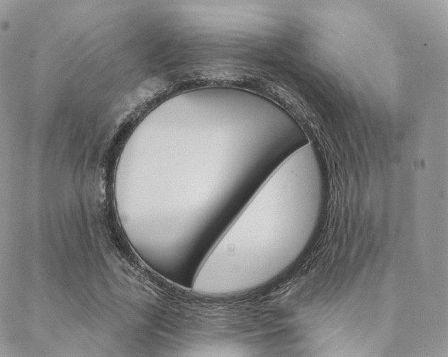 X0000089340731200706150820