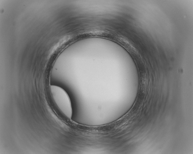 X0000089340734200706150820