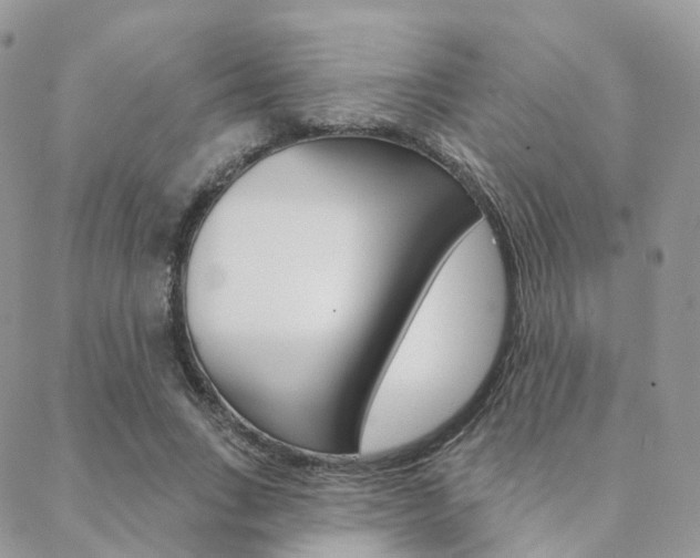 X0000089340735200706150820