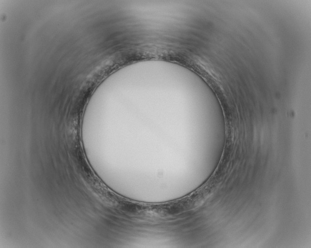 X0000089340737200706150820
