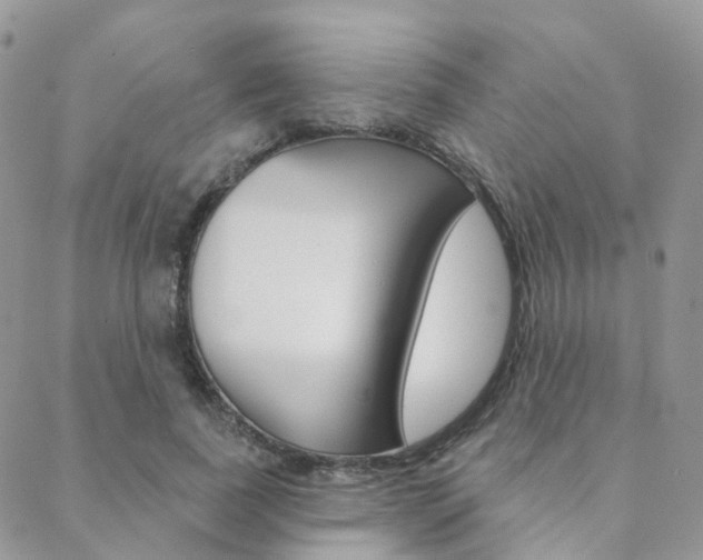 X0000089340739200706150820