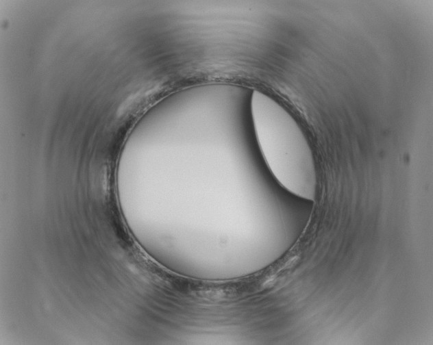 X0000089340740200706150820