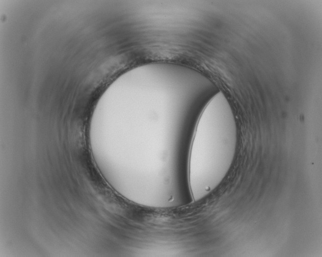 X0000089340743200706150820