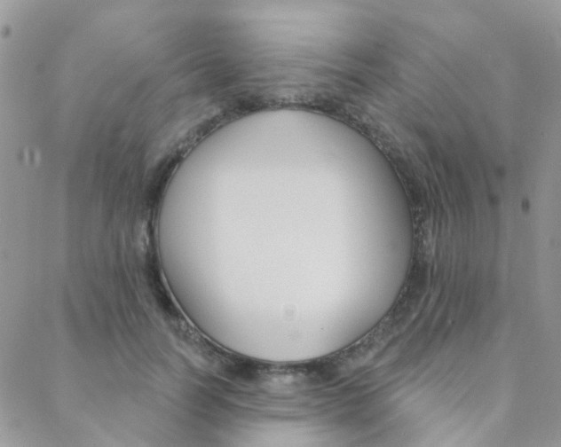 X0000089340746200706150820