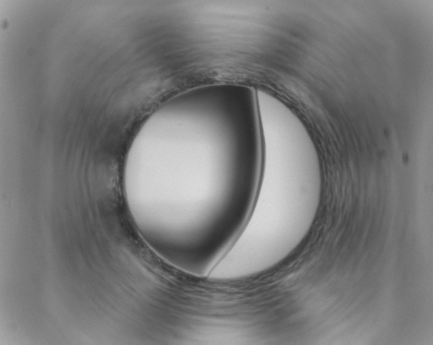 X0000089340748200706150820