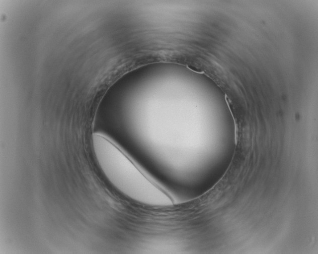 X0000089340750200706150820