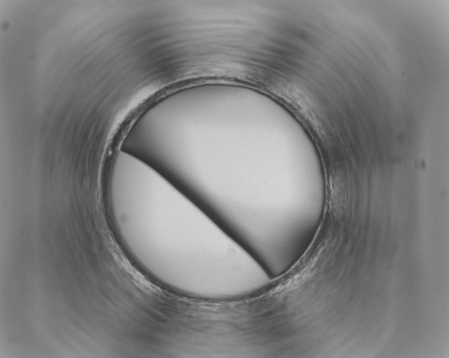 X0000089340780200706150819