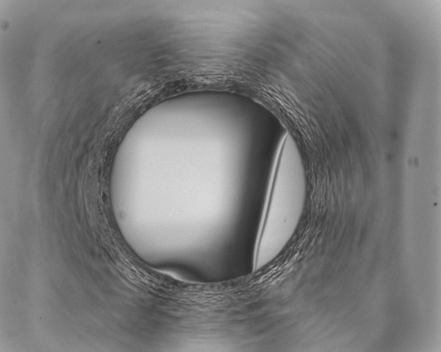 X0000089340817200706150818