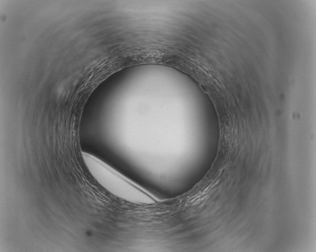X0000089340818200706150818