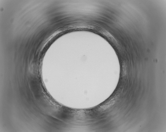 X0000089340828200706150818