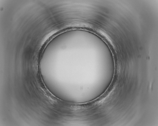 X0000089340829200706150818