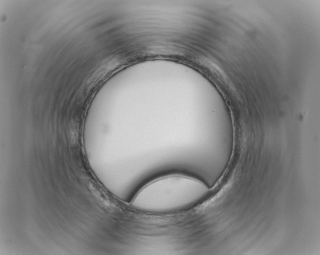 X0000089340833200706150818