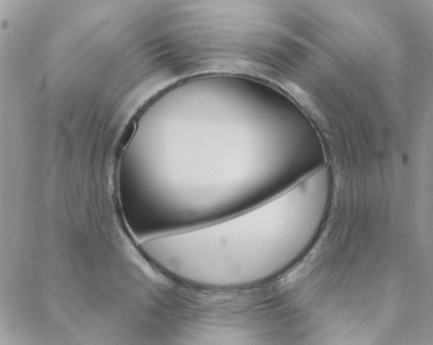 X0000089340846200706150818