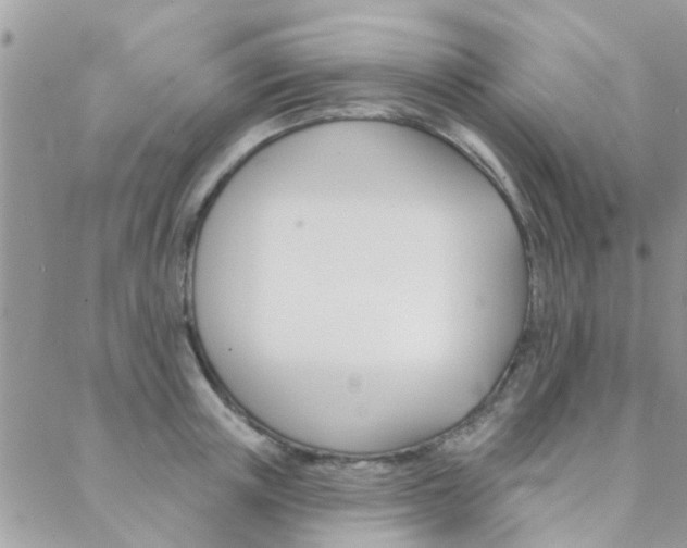 X0000089340851200706150819