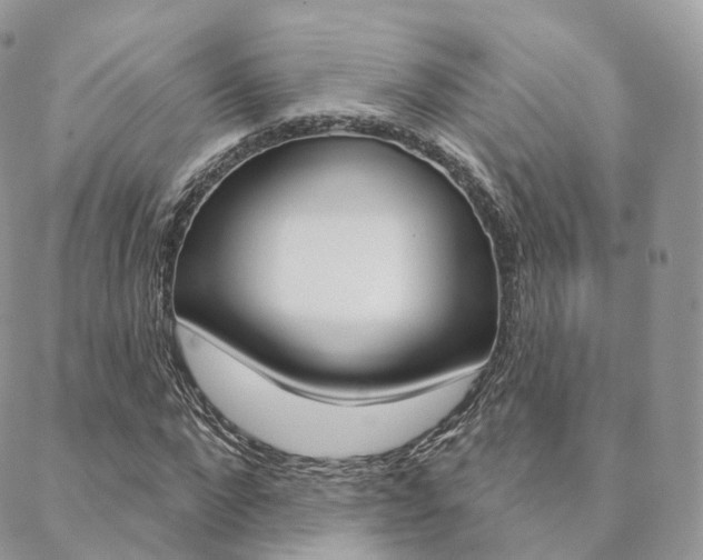 X0000089340872200706150818
