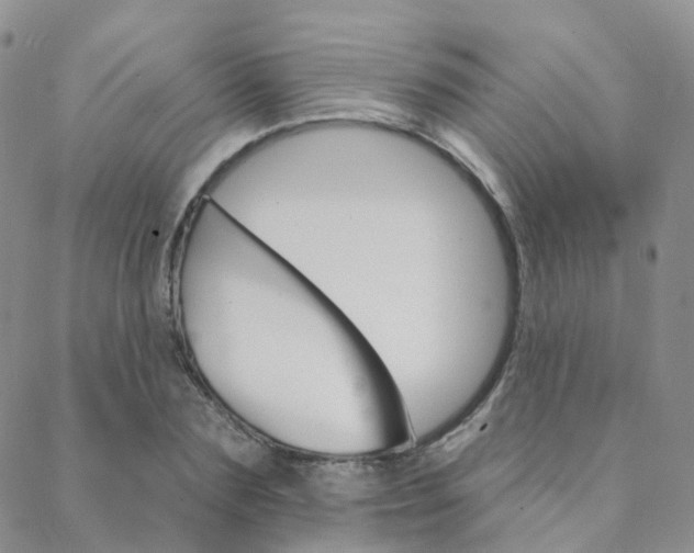 X0000089340883200706150818
