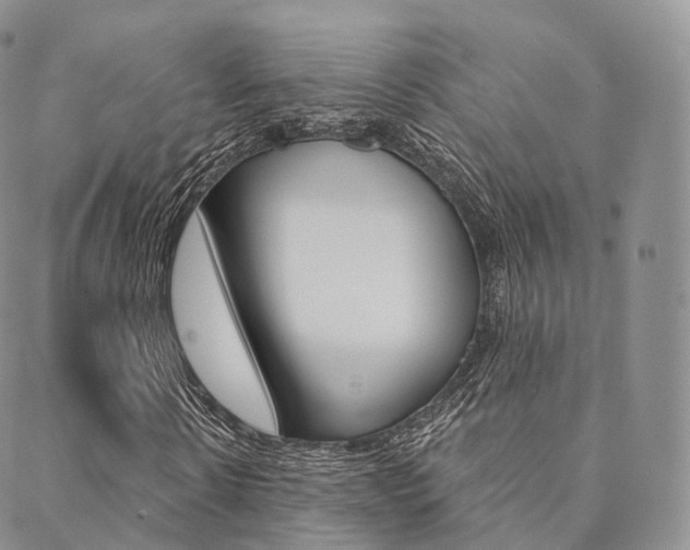 X0000089340914200706150816