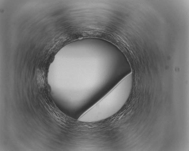 X0000089340915200706150816
