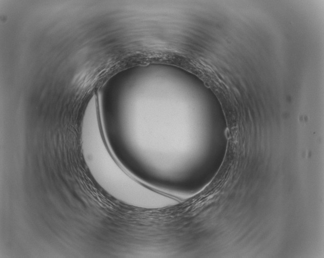 X0000089340916200706150816