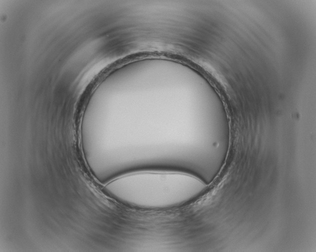 X0000089340927200706150817