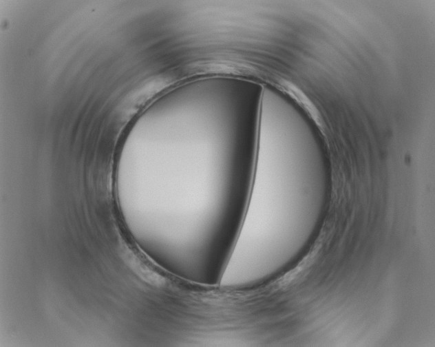 X0000089340938200706150817