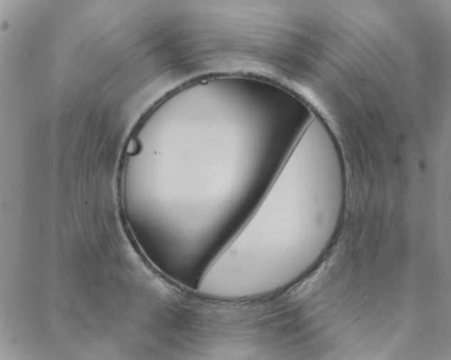 X0000089340943200706150817
