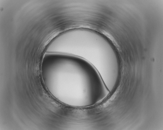 X0000089340977200706150816