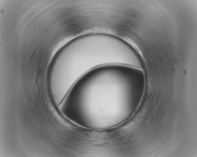 X0000089340981200706150816