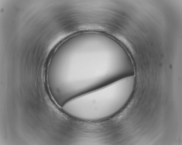X0000089340983200706150816