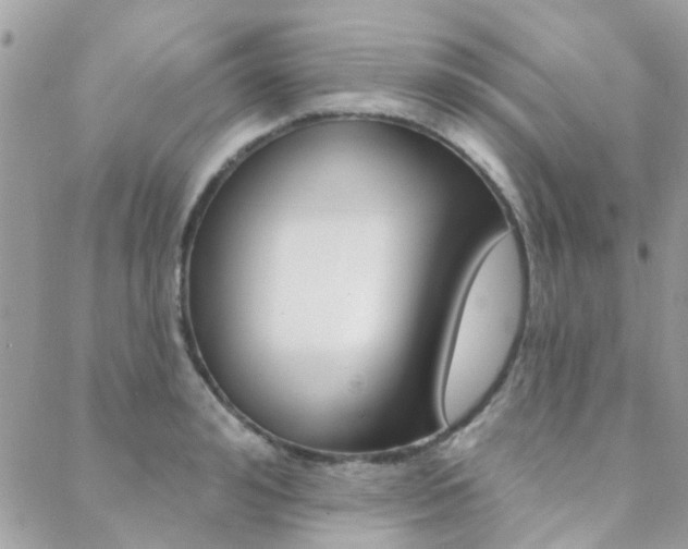 X0000089340992200706150816