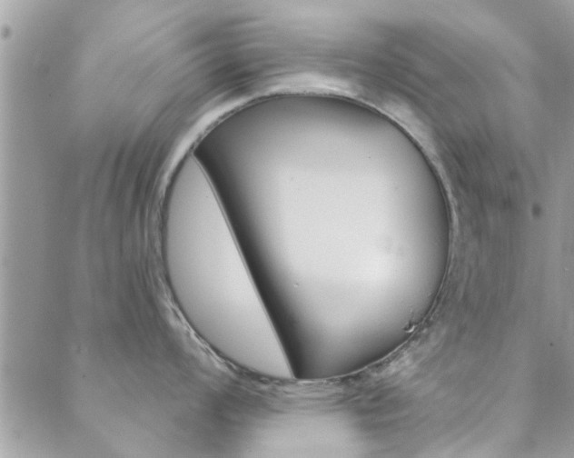 X0000089341008200706150816