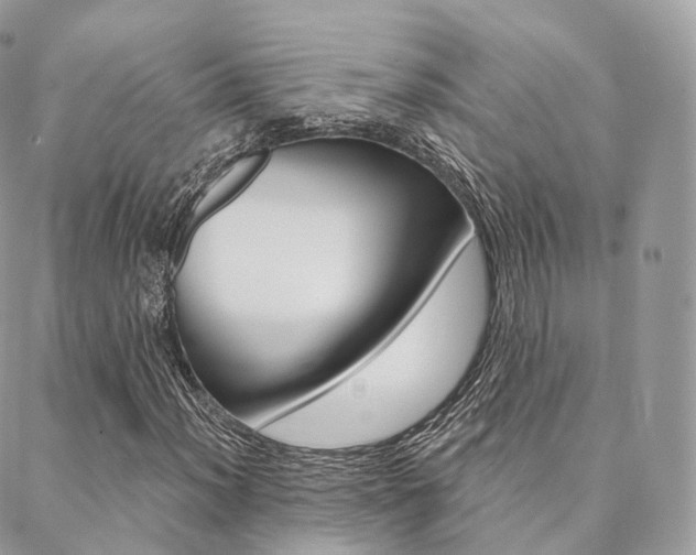 X0000089341012200706150815