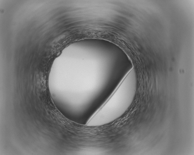 X0000089341013200706150815