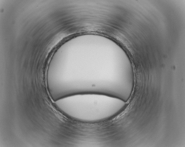 X0000089341023200706150815
