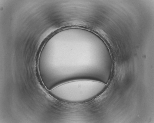 X0000089341024200706150815