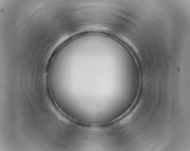 X0000089341029200706150815