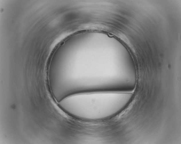 X0000089341037200706150815