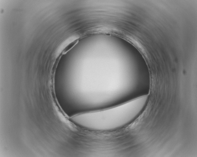 X0000089341042200706150815