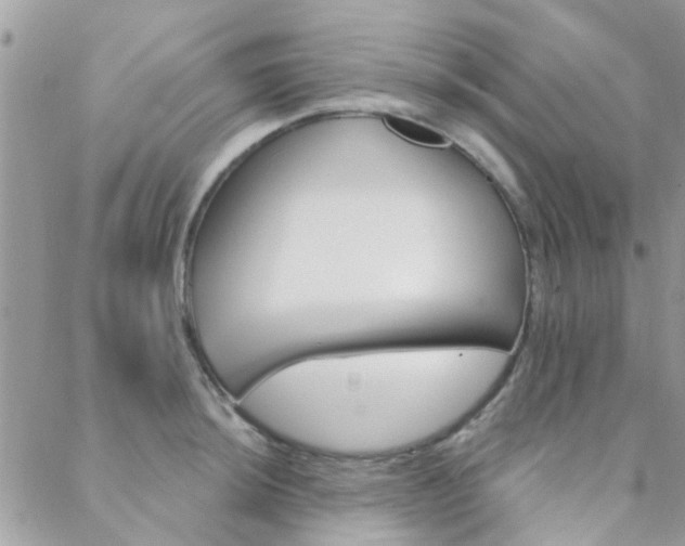X0000089341044200706150815