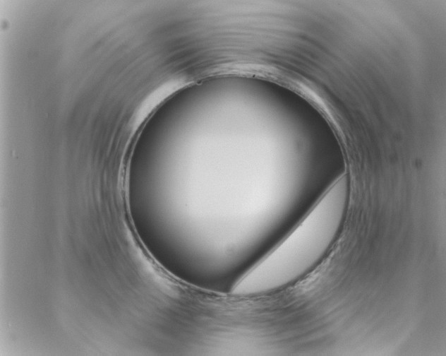 X0000089341050200706150815
