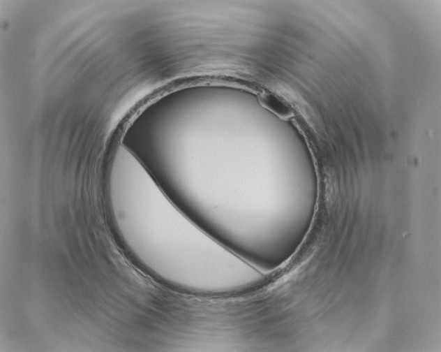 X0000089341069200706150815