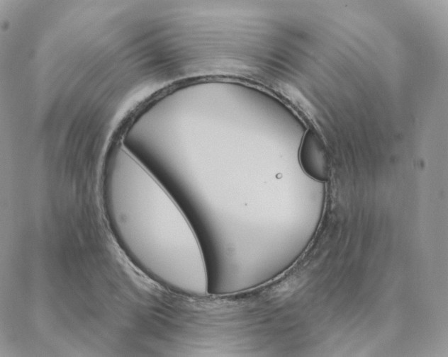 X0000089341072200706150815