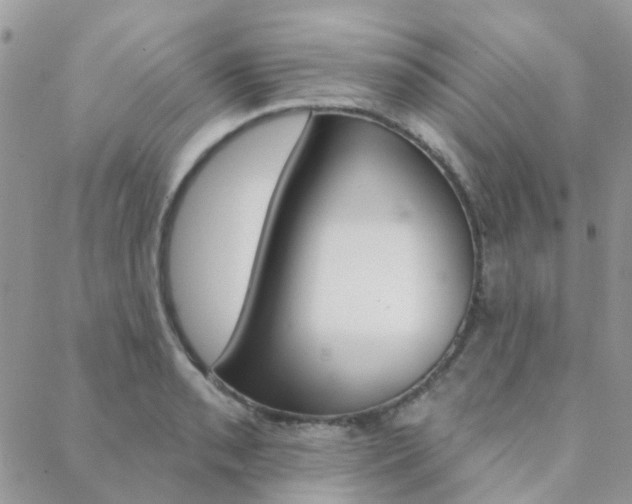 X0000089341085200706150814