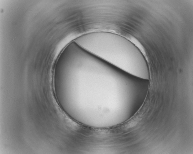 X0000089341096200706150814