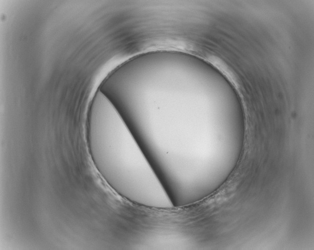 X0000089341104200706150814