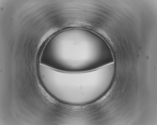 X0000089341122200706150814