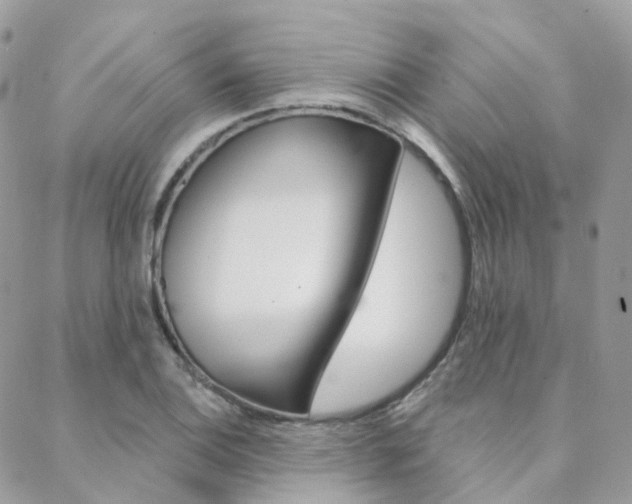 X0000089341124200706150814